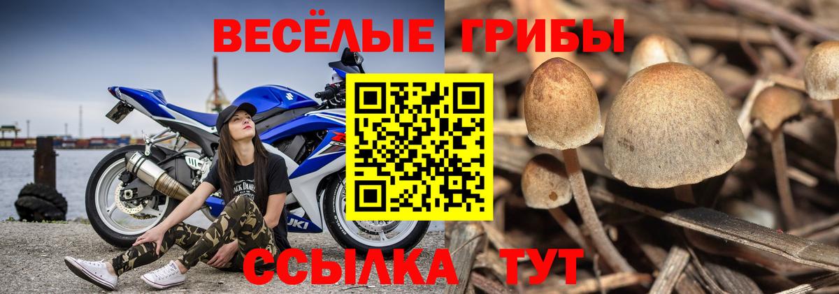 Псилоцибиновые грибы ЛСД Ейск